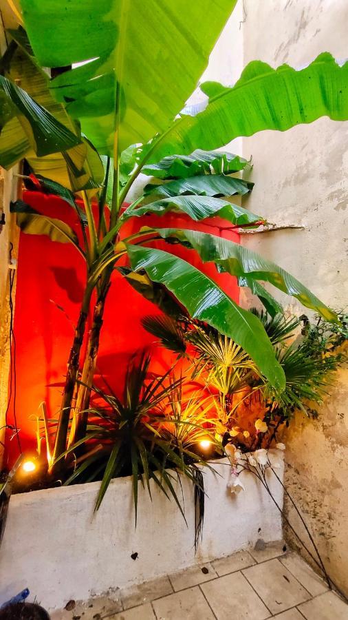 Votre Escale Jungle Sauna & Spa Niort Exterior foto